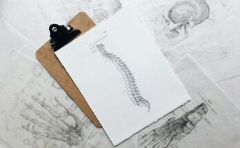 brown and black clipboard with white spinal cord print manual