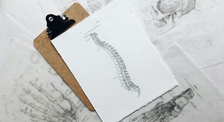 brown and black clipboard with white spinal cord print manual